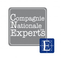 Compagnie Nationale des Experts copie